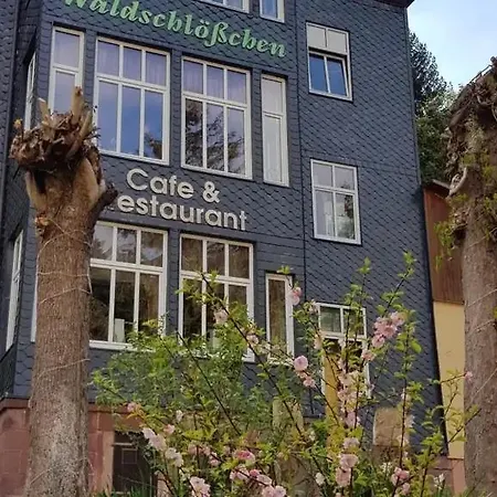 Waldschloesschen Hotel 3*