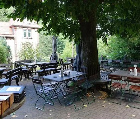 Hotel Waldschloesschen 3*