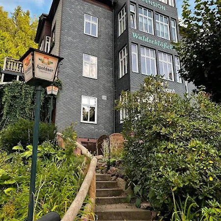 Hotel Waldschloesschen