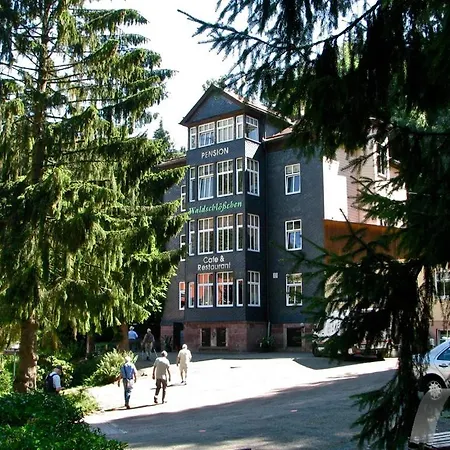 Waldschloesschen מלון פרידריכרודה