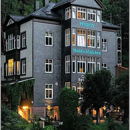 Waldschloesschen